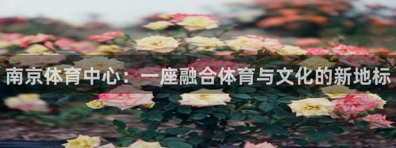 九游体育官方正版app集团简介：南京体育中心：一座融