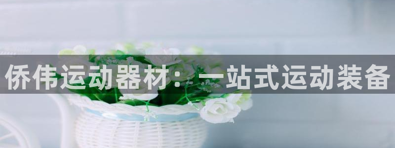 九游体育官网下载注册：侨伟运动器材：一站式运动装备