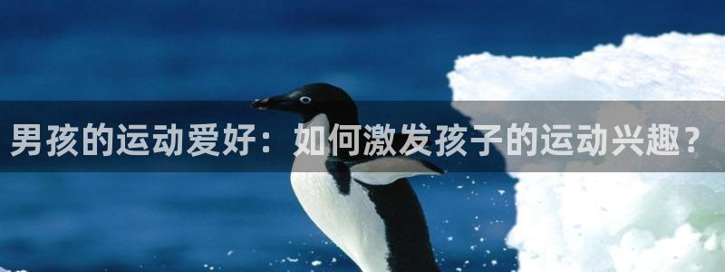 九游体育官方正版app娱乐代理怎么样：男孩的运动爱好：如何激