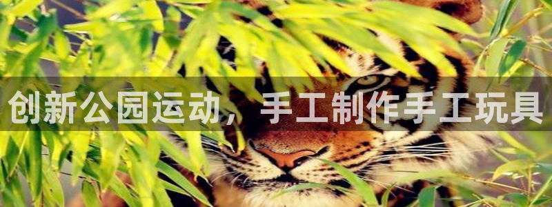九游体育官方正版app集团E.ON：创新公园运动，手