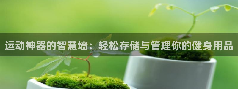 九游体育官方正版app集团E.ON：运动神器的智慧墙：轻松存