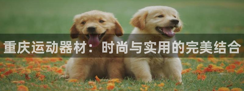 九游体育官网下载招商电话：重庆运动器材：时尚与实用的完美结合