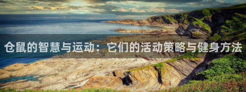 九游体育官网下载平台注册：仓鼠的智慧与运动：它们的活动策略与