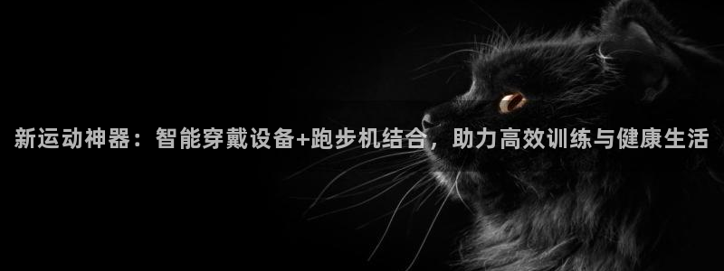 九游体育官方正版app集团简介