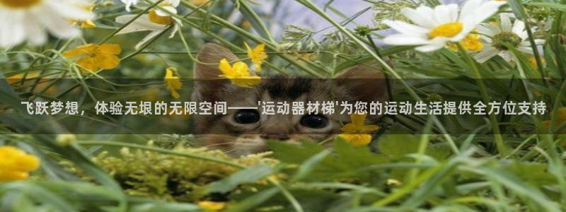 九游体育官网下载招商电话号码查询