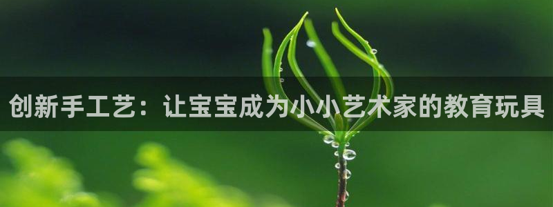 九游体育官方正版app开户：创新手工艺：让宝宝成为小