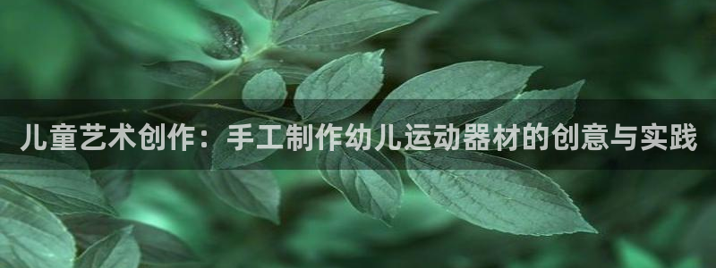 九游体育官网下载招商电话：儿童艺术创作：手工制作幼儿运动器材