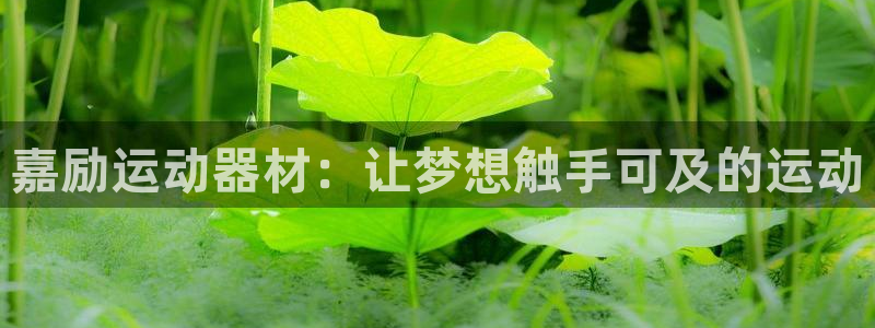 九游体育官网下载平台注册要钱吗是真的吗：嘉励运动器材：让梦想