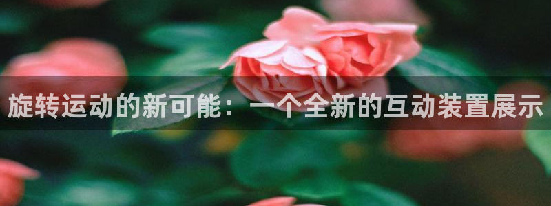 九游体育官方正版app集团logo：旋转运动的新可能