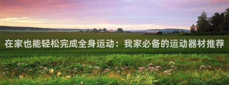 九游体育官网下载是干嘛的公司：在家也能轻松完成全身运动：我家